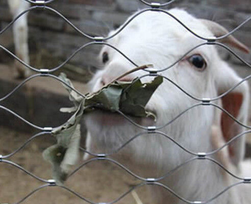Rede de corda de ferro de aço inoxidável flexível para rede de segurança do zoológico